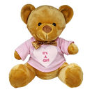 Teddy Bear with Personalised 'It's A Girl!' T Shirt additional 1